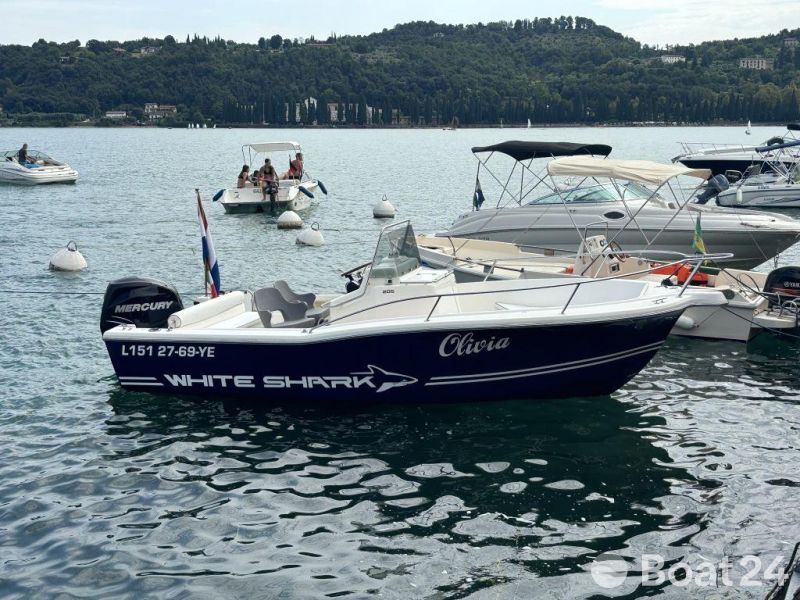 White Shark 205 1