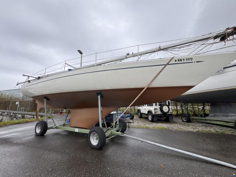 Helmsmann Lady