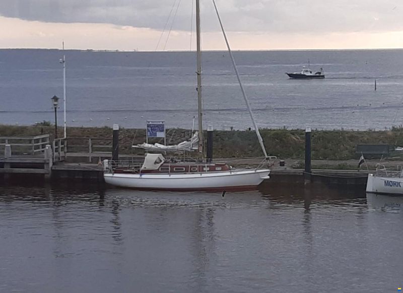 Vindö 40
