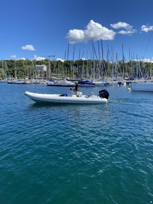 Focchi Rib 730