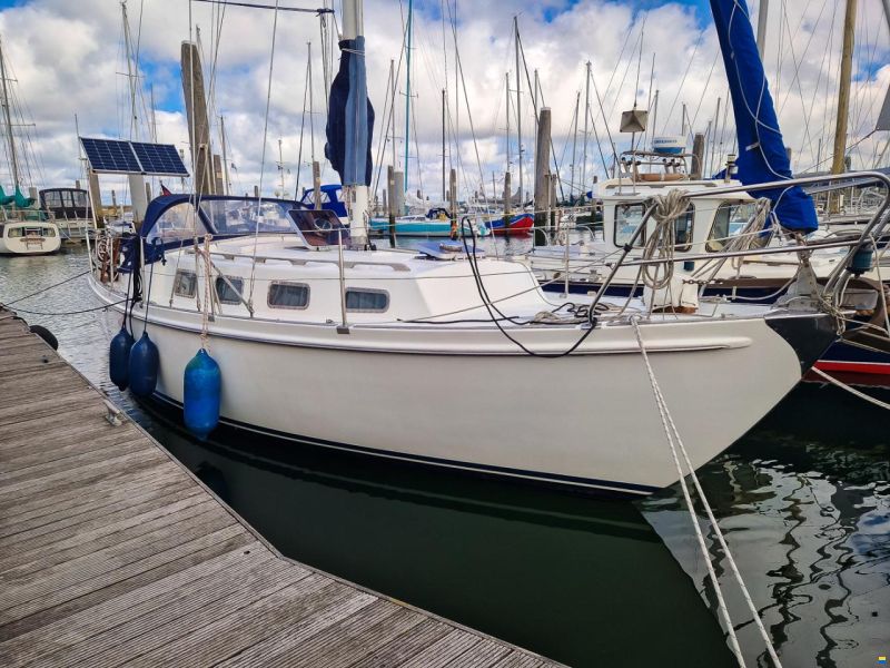 Fellowship 33 de Kloet