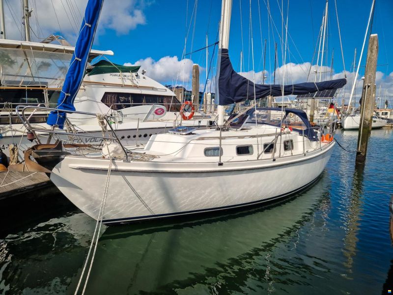 Fellowship 33 de Kloet