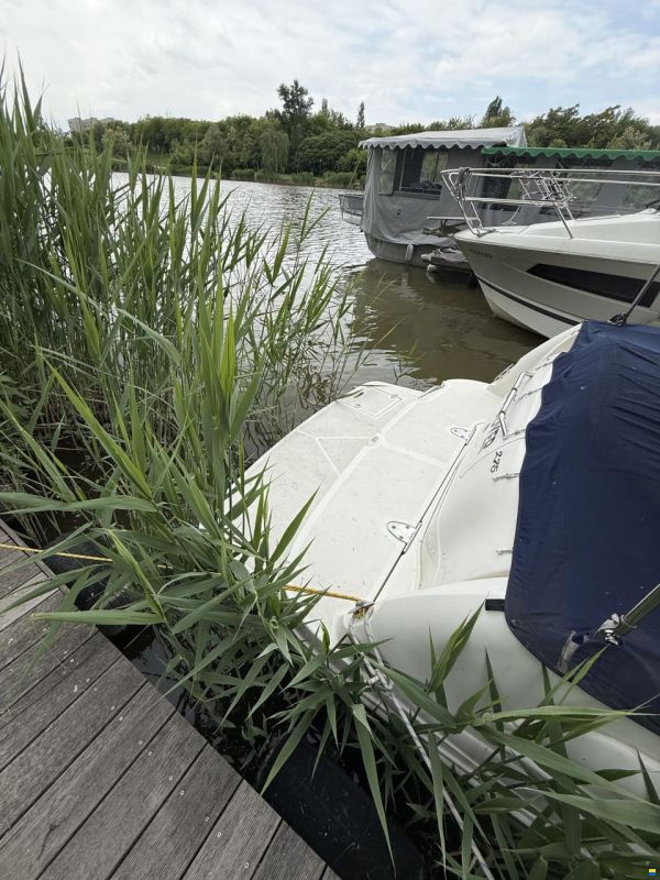 Sea Ray Sundancer 275