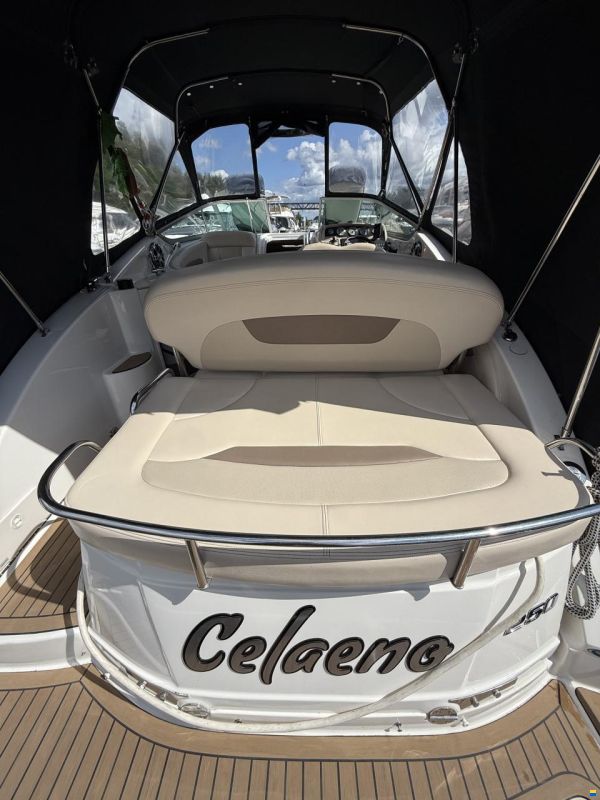 Chaparral Signature 250