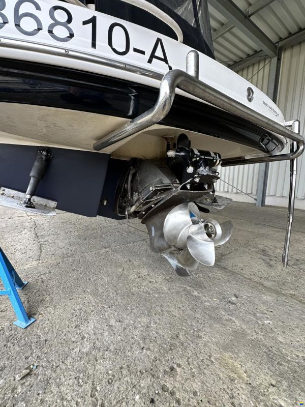 Chaparral Signature 250