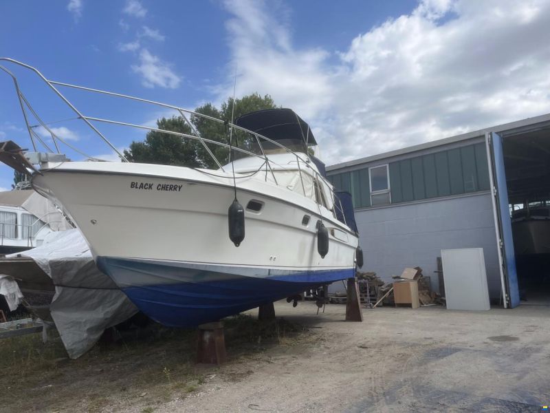 Fairline Corniche 31