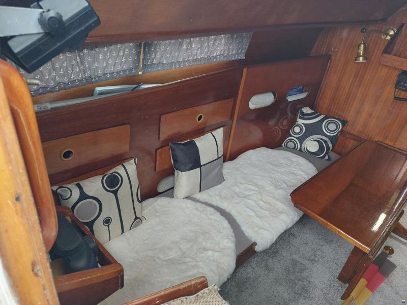 Deerberg Amethyst