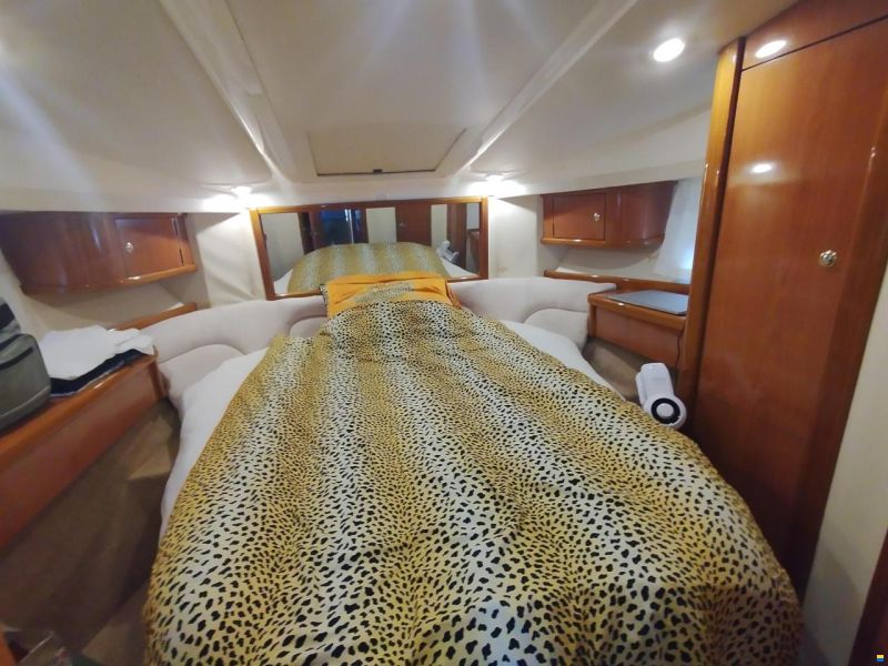 Sealine F37