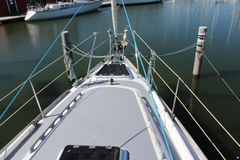 Van de Stadt Madeira 46