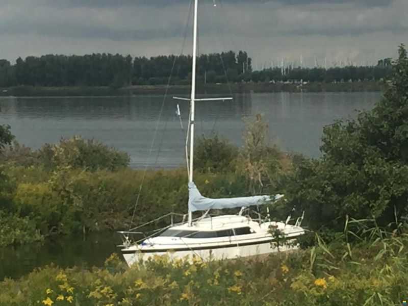 MacGregor 26x