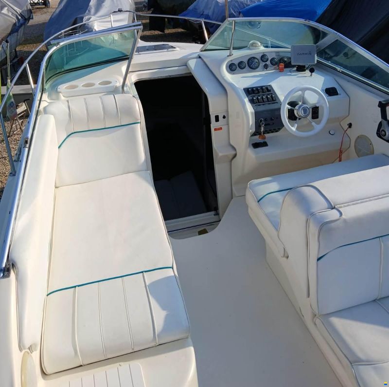 Sea Ray 250 Sundancer