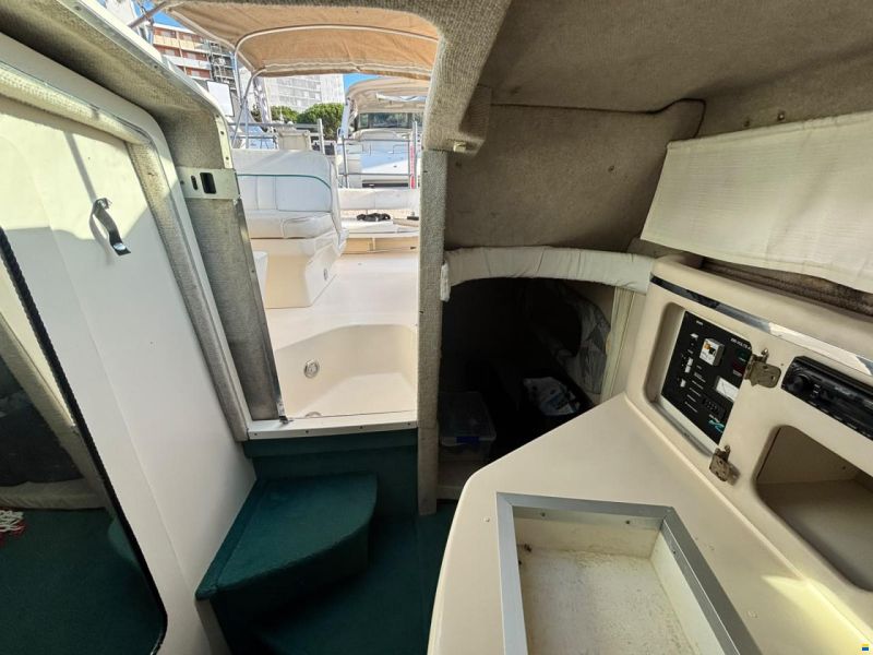 Sea Ray 250 Sundancer