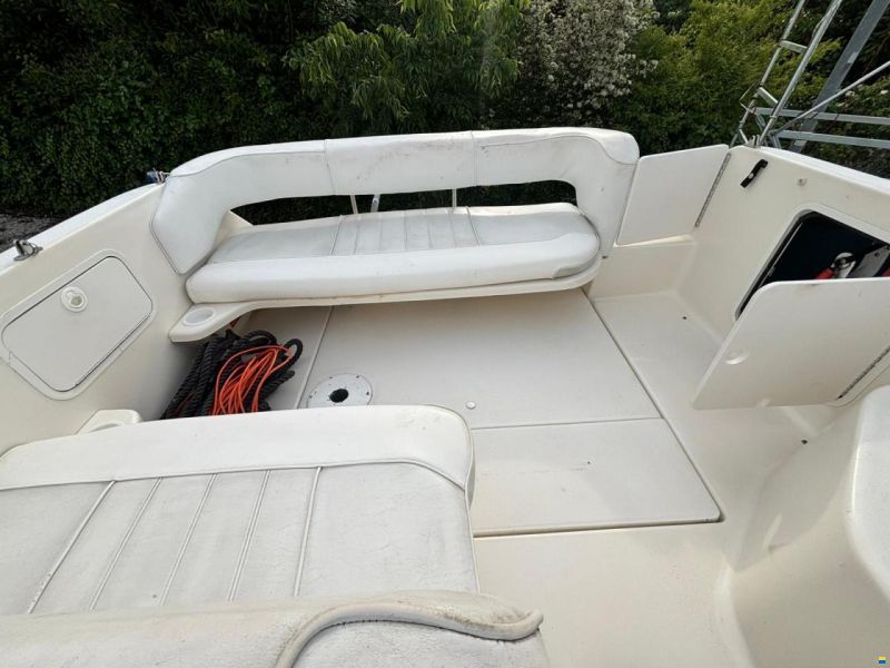 Sea Ray 250 Sundancer