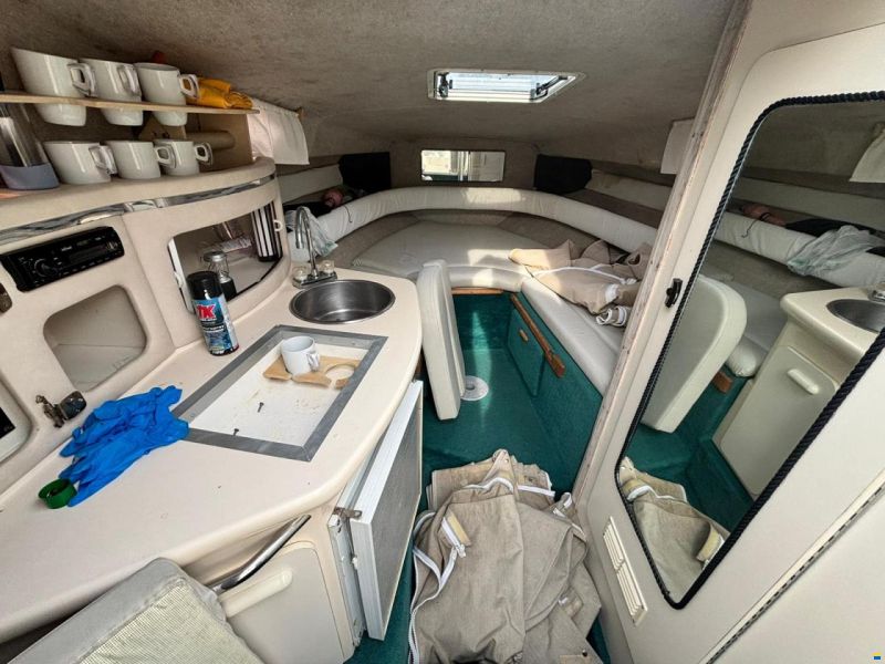 Sea Ray 250 Sundancer