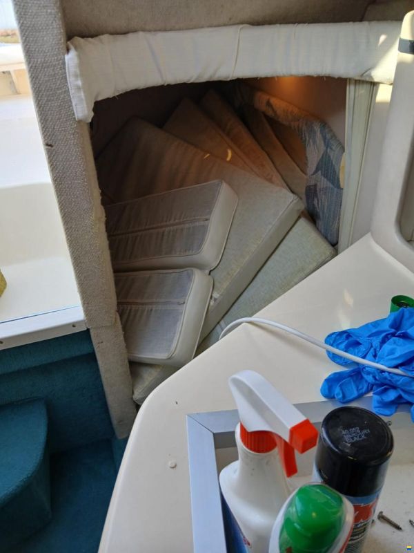 Sea Ray 250 Sundancer