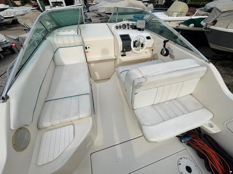 Sea Ray 250 Sundancer