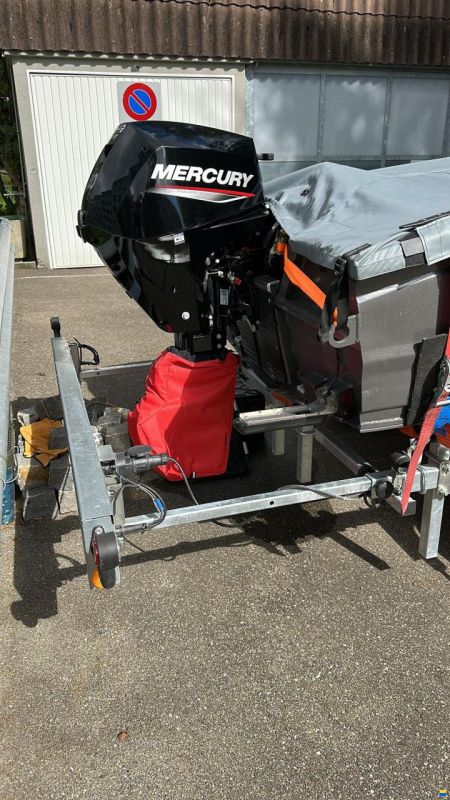 Mercury 20EFI MH