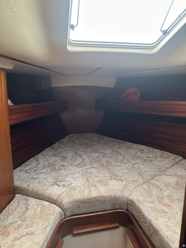 Sunbeam 33
