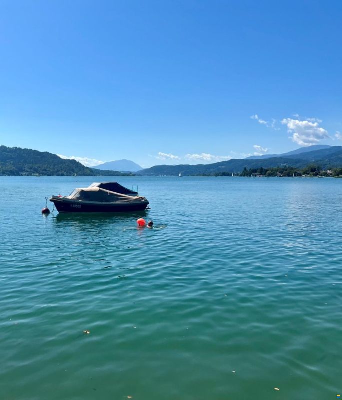 Interboat 19