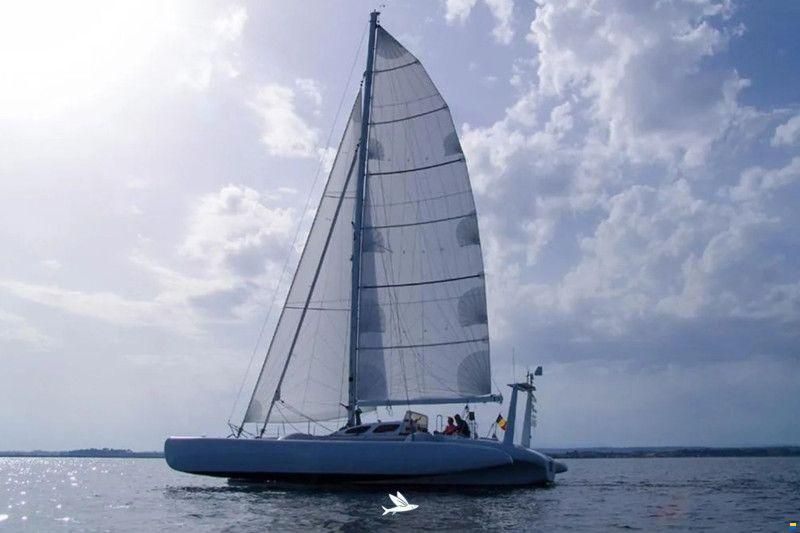One Off Design Polynesie 42