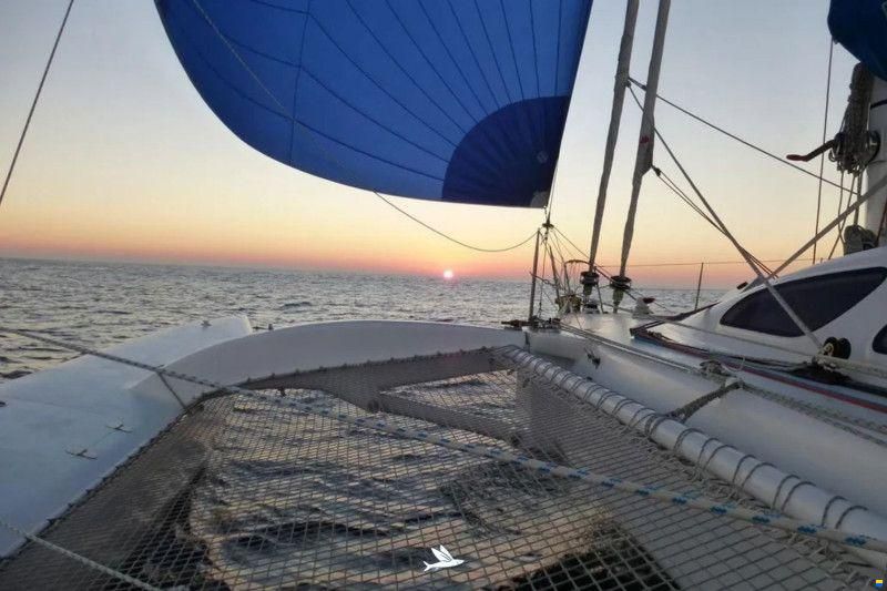 One Off Design Polynesie 42