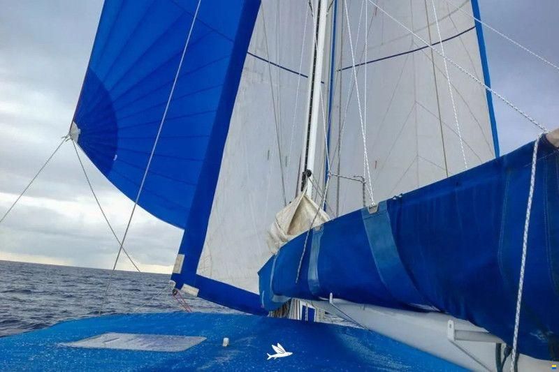 One Off Design Polynesie 42