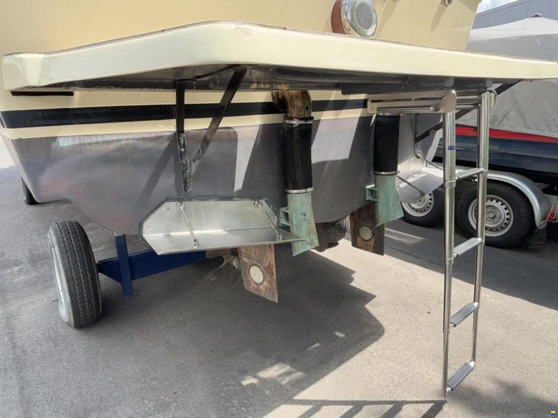 Adler Storebro 31