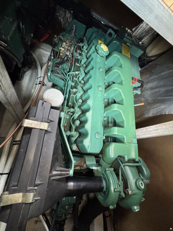 Adler Storebro 31
