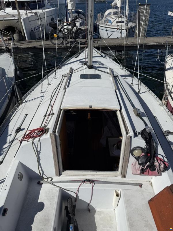 Gib Sea 77