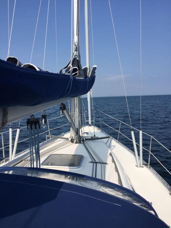 Linjett 35