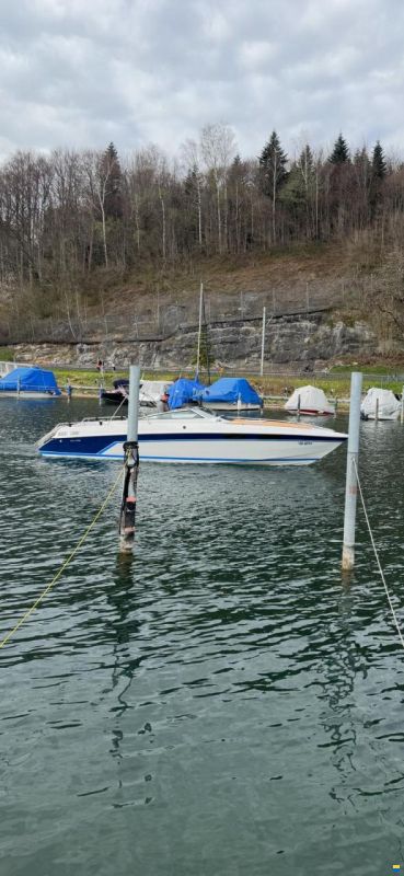 Chris Craft skorpion 26