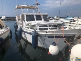 Pedro 850