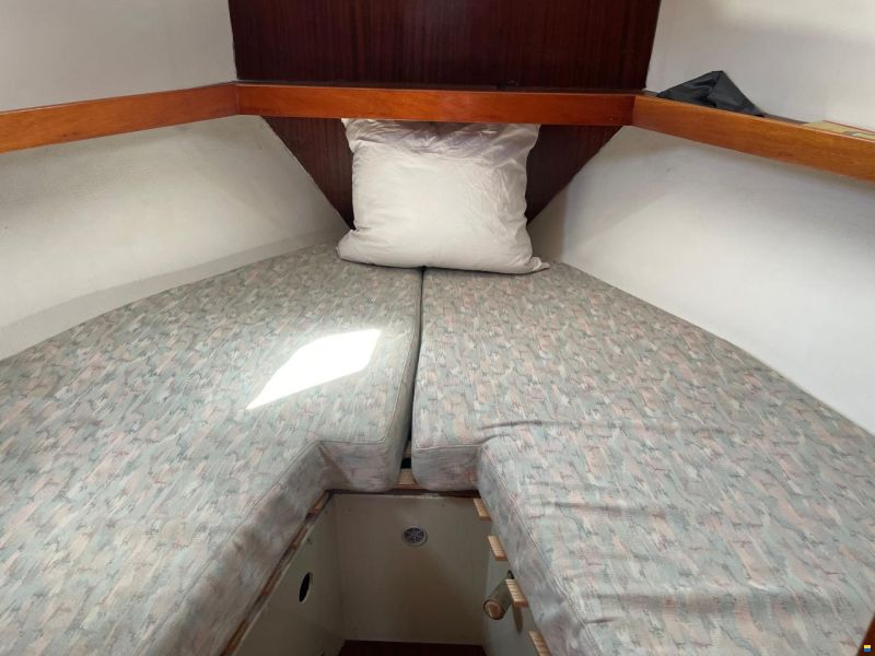 Finnsailer 35