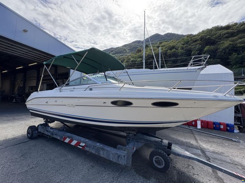 Sea Ray 220