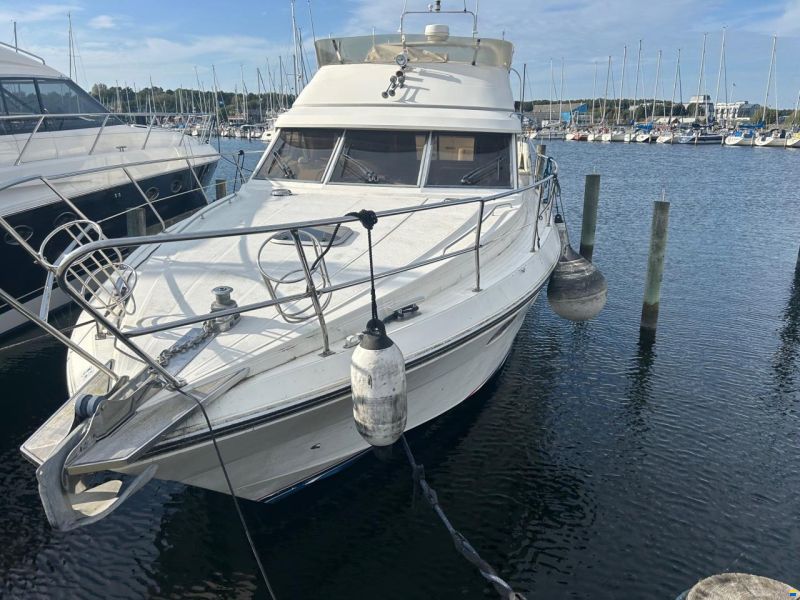 Princess 435