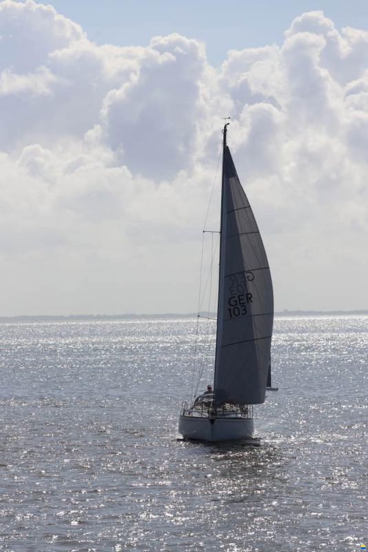 Scampi 30-3 Mk III