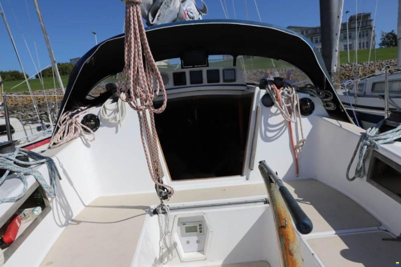 Scampi 30-3 Mk III