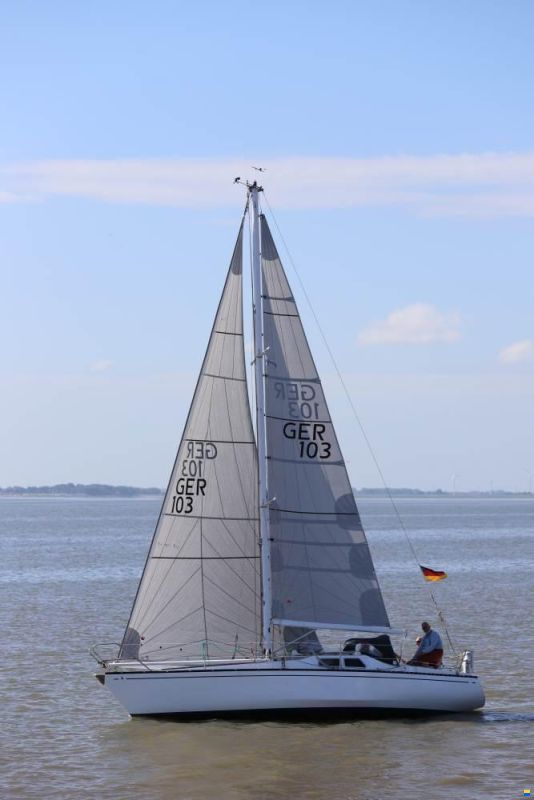 Scampi 30-3 Mk III