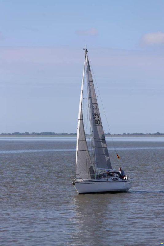 Scampi 30-3 Mk III