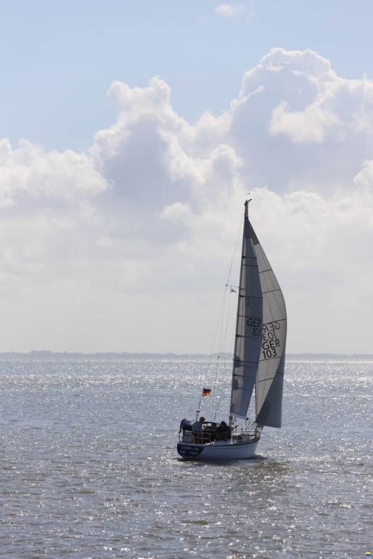 Scampi 30-3 Mk III