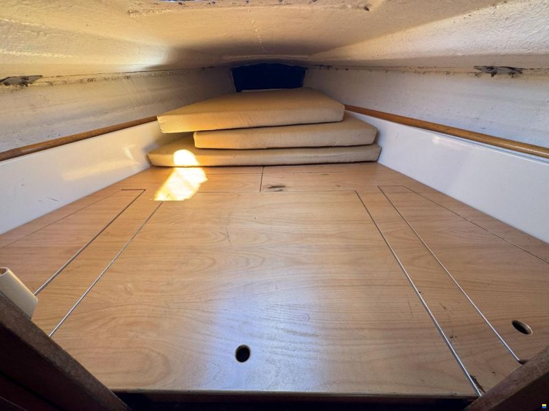 Scampi 30-3 Mk III