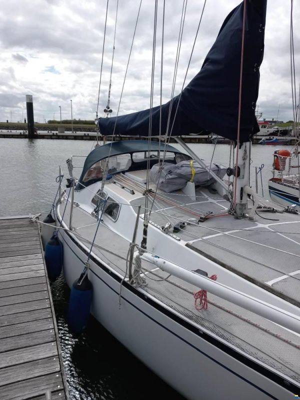 Scampi 30-3 Mk III