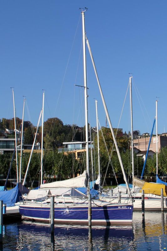 Dehler D29