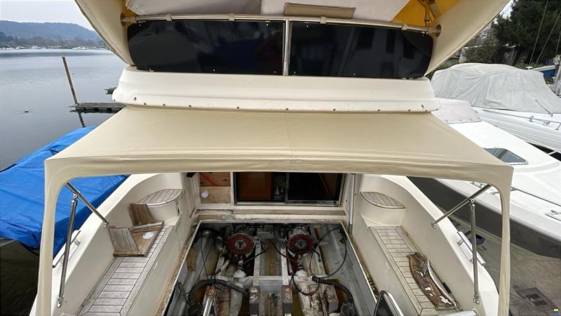 Alpa 37 Fly