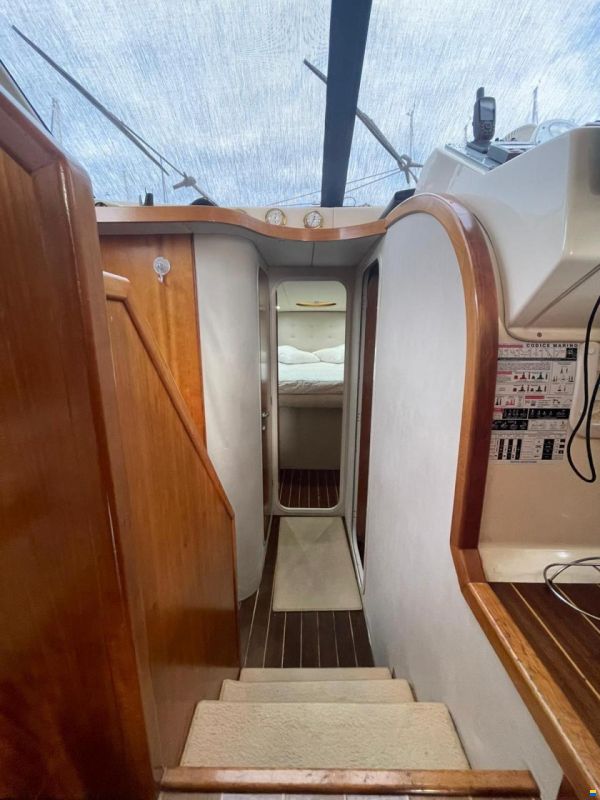 Alpa 37 Fly