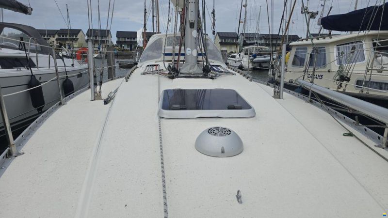 Finngulf 36