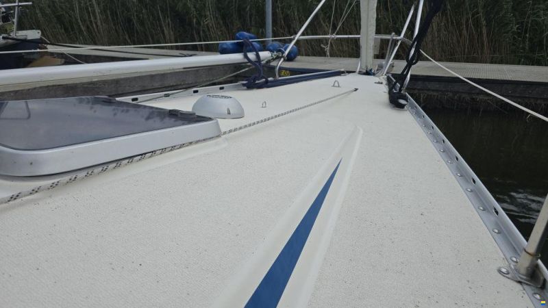 Finngulf 36