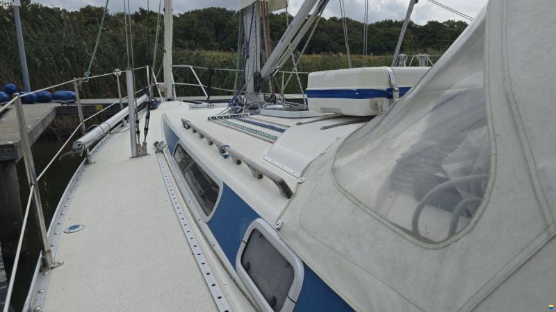 Finngulf 36