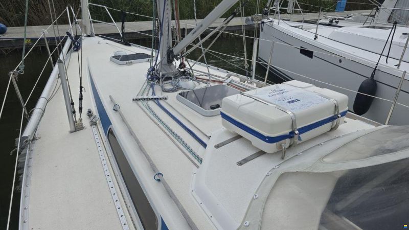 Finngulf 36