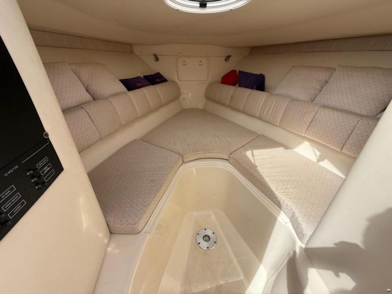 Scarab 35 SPORT
